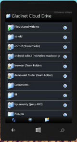 Web Browser Access