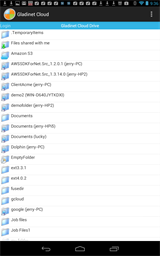 Web Browser Access